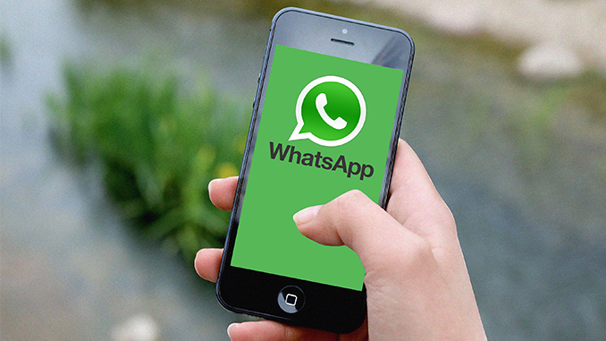 Descubra onde fica a lixeira do WhatsApp